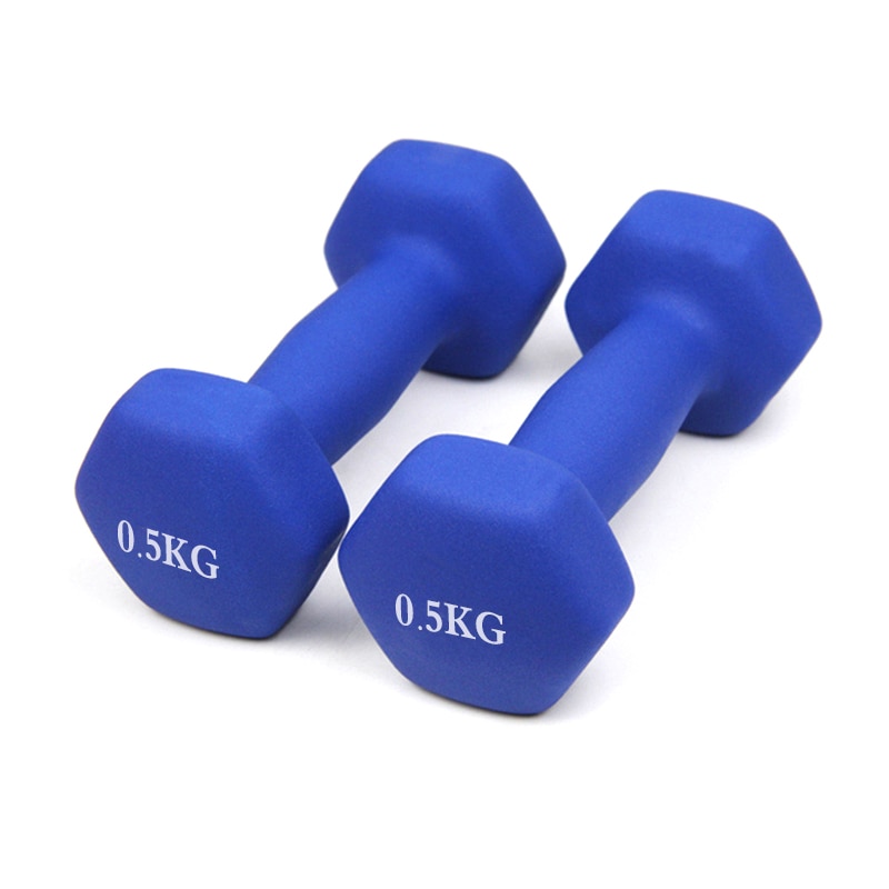 Conjunto de halteres 0.5kg, suporte de halteres para academia e exercícios, fitness, feminino e masculino, para treino, levantamento de peso, academia: Azul