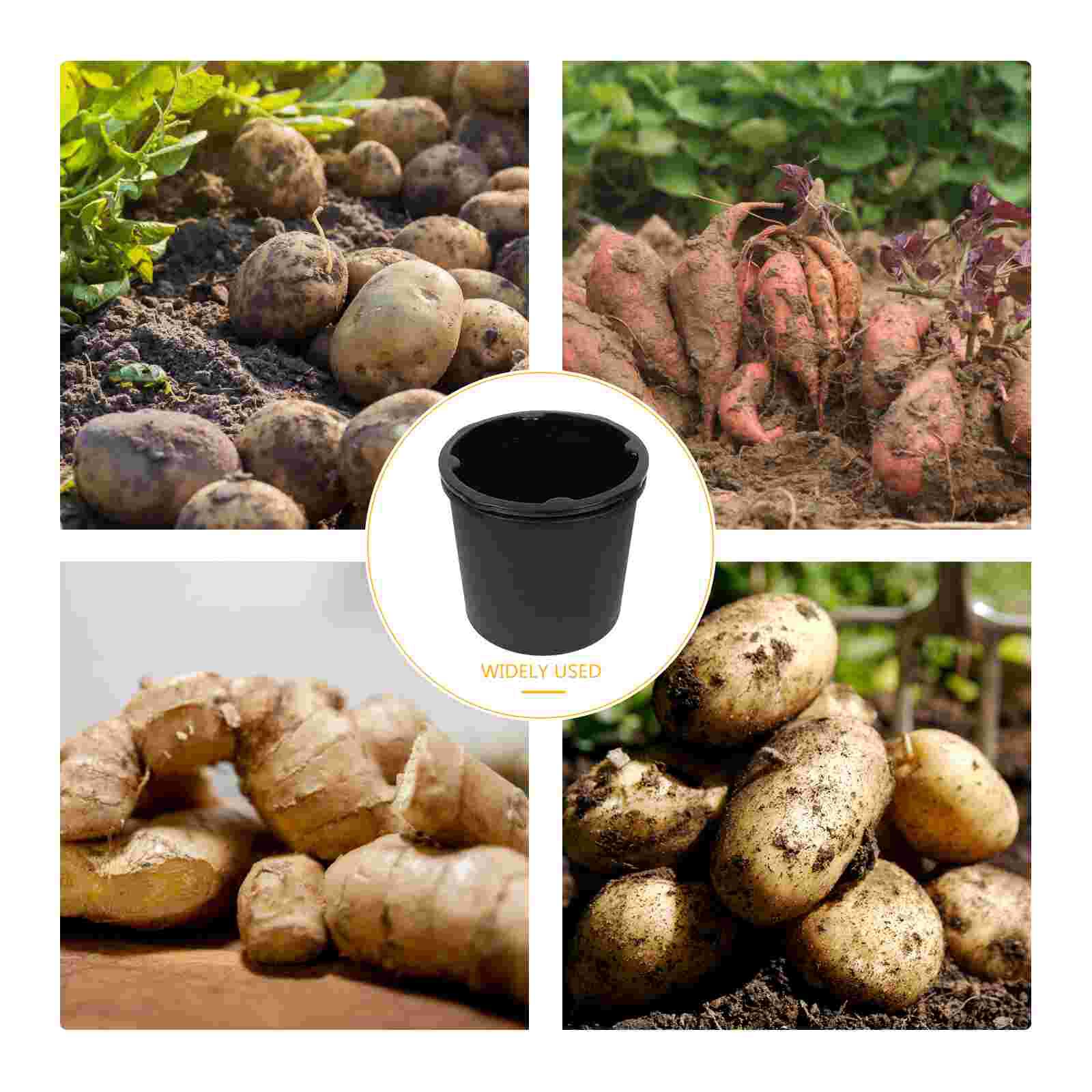 Ginger Planting Bucket Home Potato Growing Box Plastic Peanut Planting Box