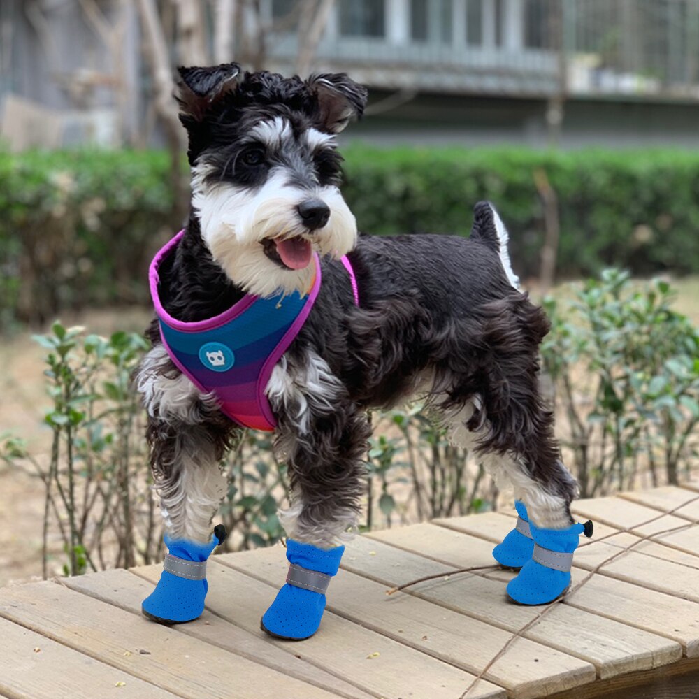 Reflektierende Haustier Hunde Schuhe Regen Schnee Wasserdichte Booties Socken Gummi Anti-Unterhose Schuhe Für Kleine Hund Welpen Schuhe Cachorro: Blau / 2