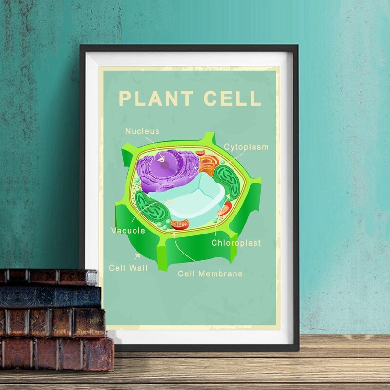 Animal and Plant Cell Biology Posters and Prints Science Educational Wall Art Painting Pictures Laboratory Office Decor