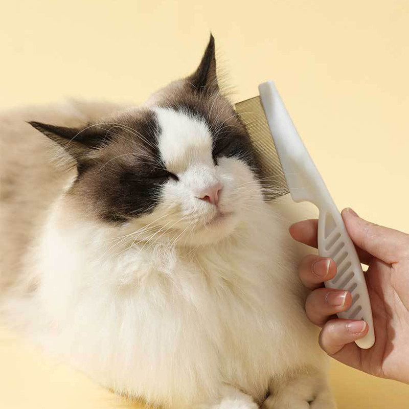 Huisdier Vlooienkam Hond Kat Verzorging Kam Kat Ontharing Massage Kam Huisdier Verzorging Draagbare Gereedschappen