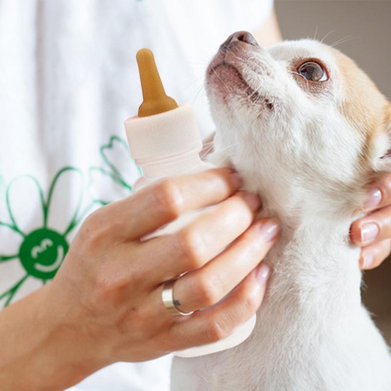 Kit de biberón para mascotas con estuche de almacenamiento, biberones de lactancia para gatitos, alimentador de leche para cachorros, animales pequeños, recién nacidos, perros y gatos