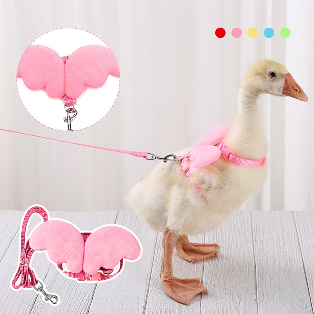 Correa transpirable para gatos, conejos, patos y aves de corral, arnés para mascotas con entrenamiento a juego para caminar, ganso y pato