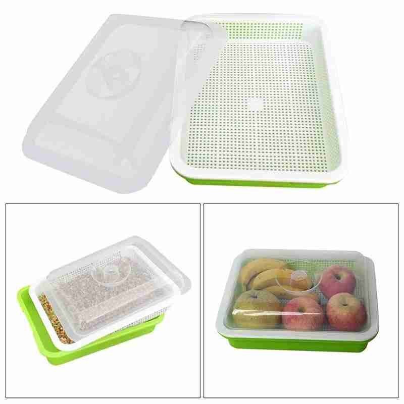 Green Seed Sprout Planting Plate With Cover Pea Bean Pot Wheatgrass Hydroponic Tray Sprouter Home Germination Seedling Syst M3X4