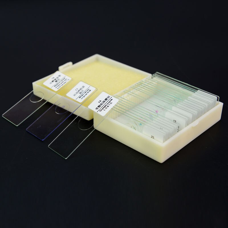 25 pcs Prepared Glass Microscope Slides for Children Student Biological Microscopes with Chinese and English Label