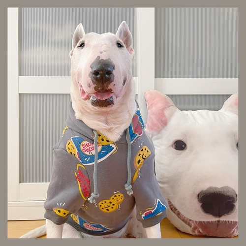 Pull molletonné pour chiens, vêtement en peluche pour moyens et grands chiens, Shiba Inu Golden Retriever, accessoires pour chiens, automne et hiver: XS