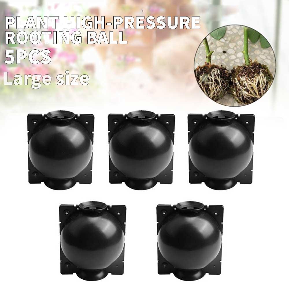 5Pcs Plant Propagation Box Balcony Beautiful Pp Plastic Economic Garden Plant Rooting Ball Flowerpot Planter Home: 5pcs black L