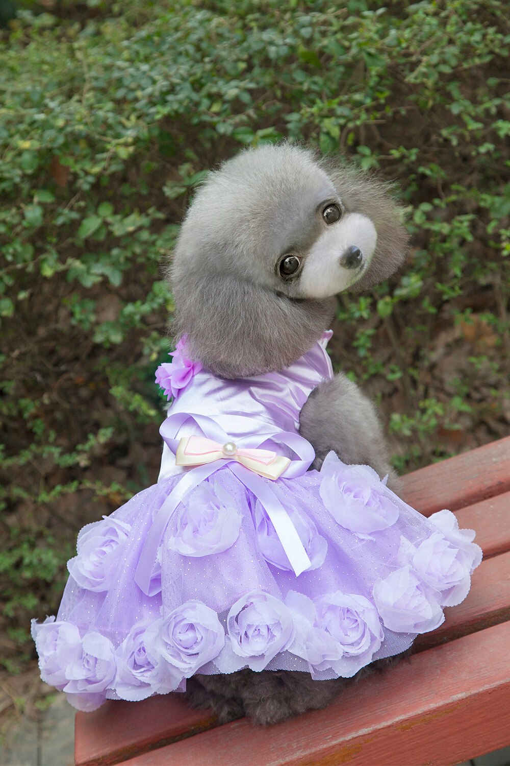 Vestido de princesa para perros pequeños, ropa de primavera y verano con de rosa, para mascotas