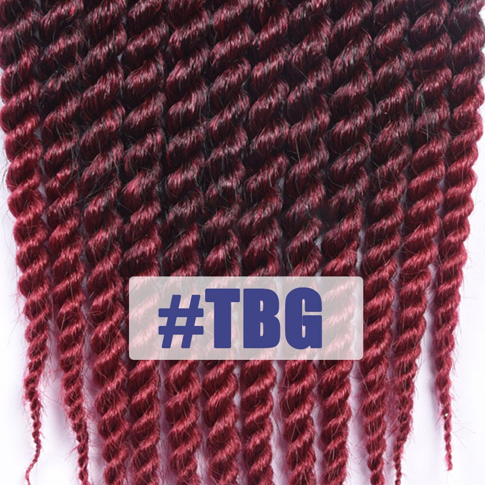 Alororo Havana Mambo Twist Crochet Braids 12'' 18'' 22'' Synthetic Hair Extension for Braids High Temperature Fiber Afro Braid: TBG / 12inches