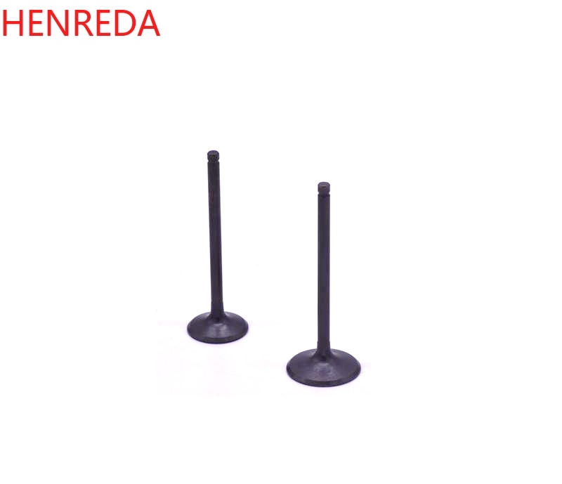 Motoronderdelen 200cc kleppen voor suzuki motoronderdelen  dr200 gxt 200 gs200 qs200 qm200gy inlaat- en uitlaatkleppen