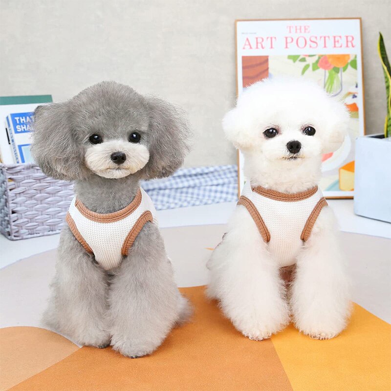 Camisetas sin mangas para perro y gato, vestido de gofre refrescante para cachorro y gatito, chaleco transpirable para primavera y verano, ropa para mascotas