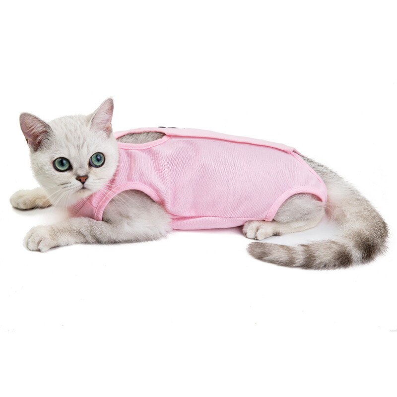 Gato do sexo feminino cirurgia terno pet gatos esterilização roupas desmame roupas pet colete pós-operatório anti-mordida camisa gatos