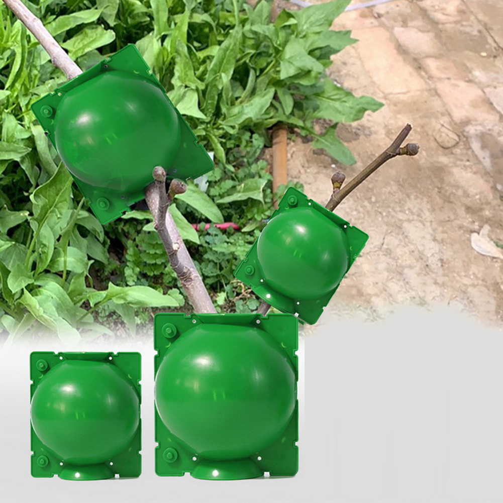 10 * Grafting Box Plant Rooting Equipment High Pressure Propagation Ball Garden Graft Box Plant Support Care Plant Covers
