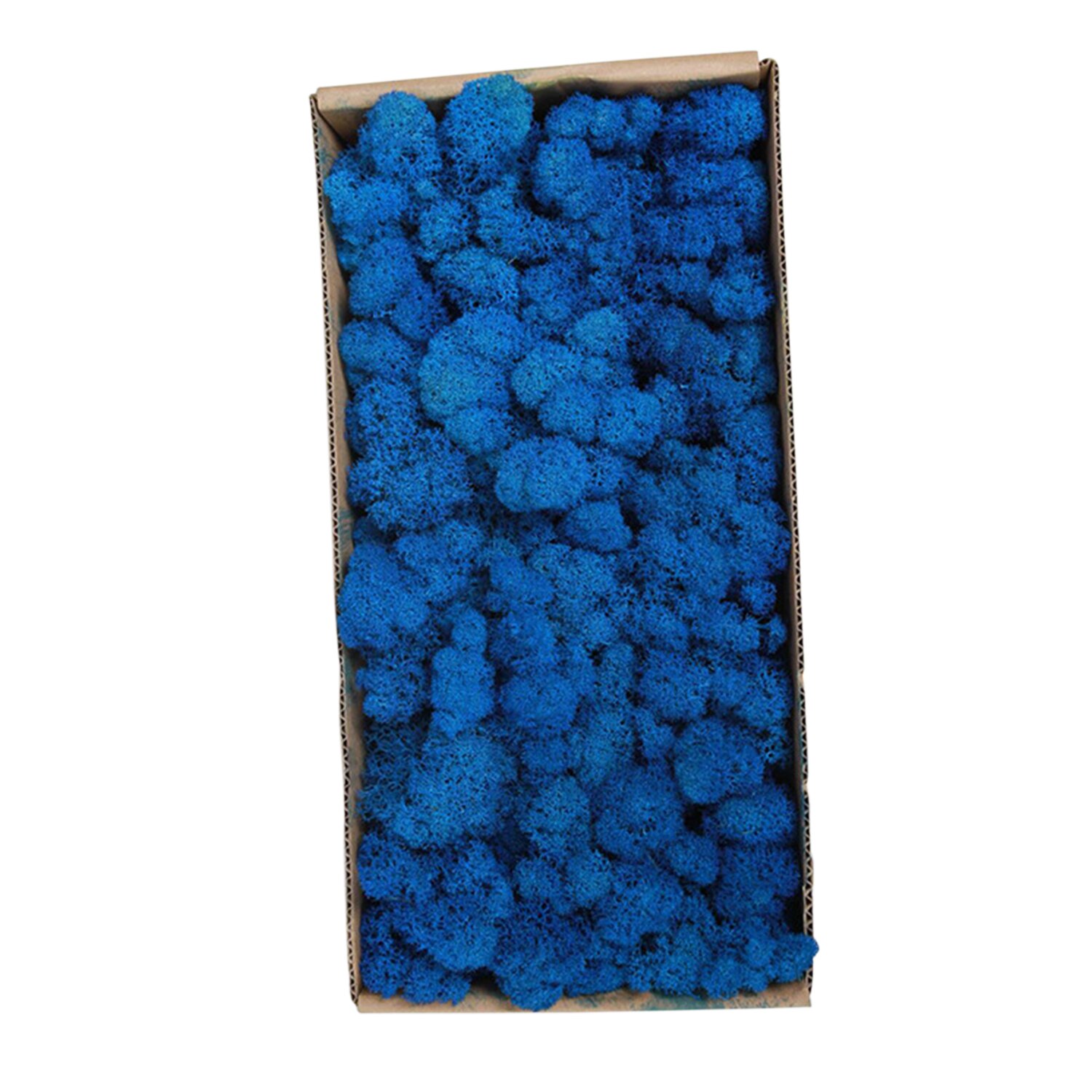 Preserved Moss Wall Decor Real Preserved Moss No Maintenance Required Naturally Preserved Moss Home Wall Party Festivals Crafts: Type 9