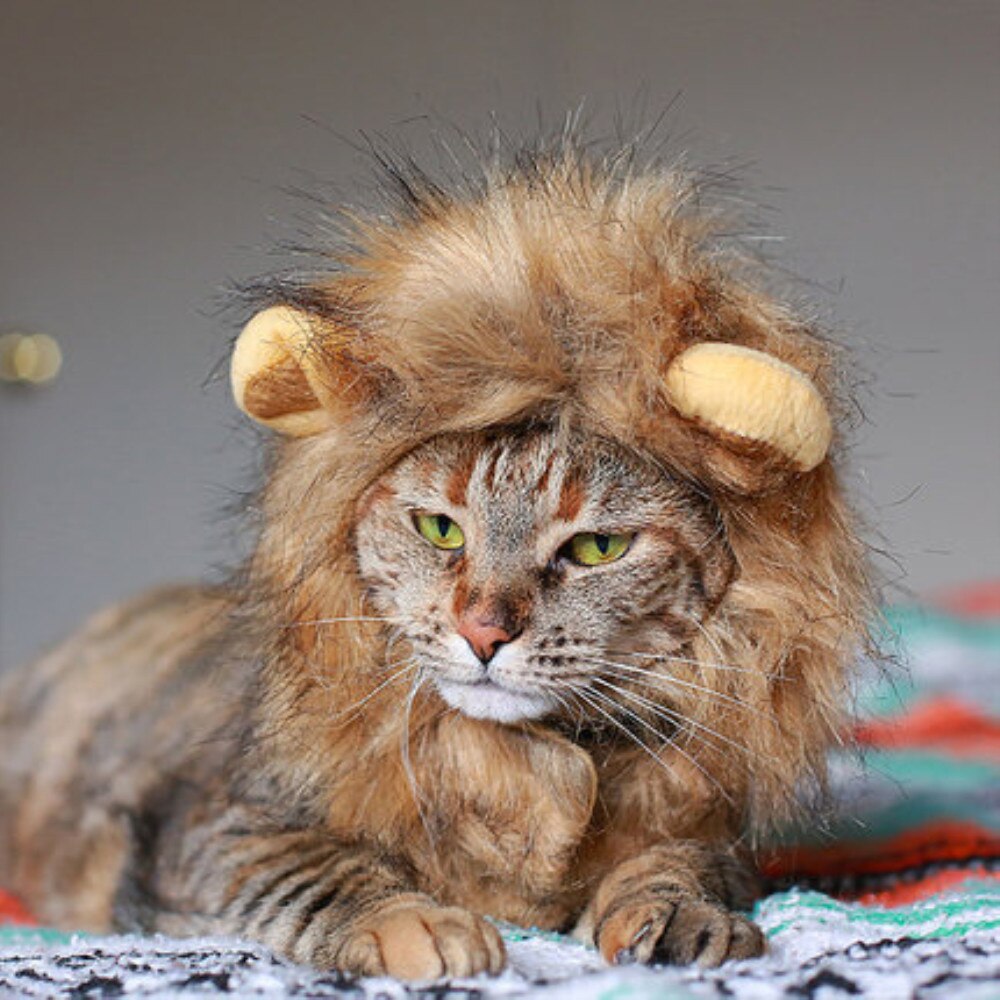 Grappige Leuke Huisdier Kostuum Cosplay Lion Mane Pruik Cap Hoed Voor Kat Halloween Xmas Kleding Fancy Dress Met Oren