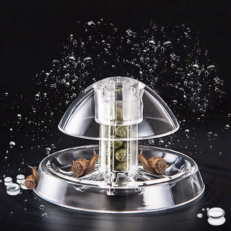 Piège à escargot pour Aquarium 6cm, 2 pièces, en plastique transparent, attrape-sanglier planaire
