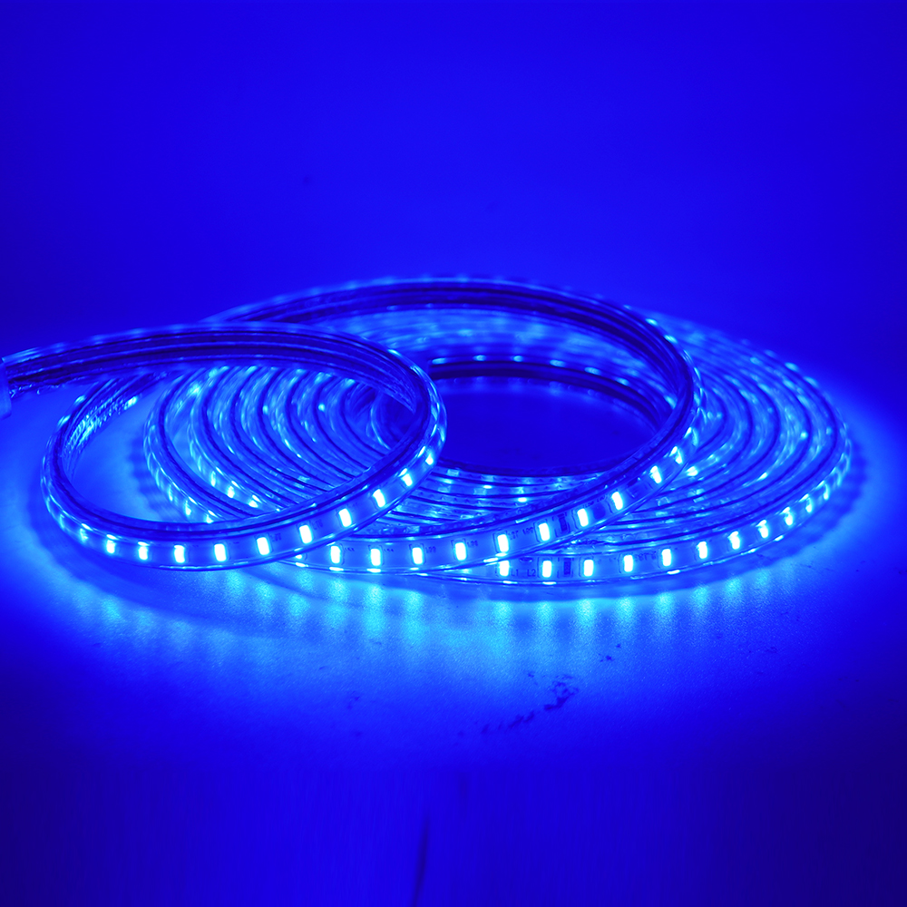 Tira de luces led de 220V, 3014 SMD, 120led/m, cinta de luz flexible impermeable, Blanco cálido, 1m, 5m, 10m, 20m, 25m, 50m, 100m, enchufe de alimentación: Lavanda / Azul