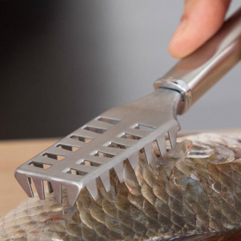 Escarificador de pescado de acero inoxidable, utensilios de cocina para el hogar, limpiador de piel de pescado, escarificador de pescado