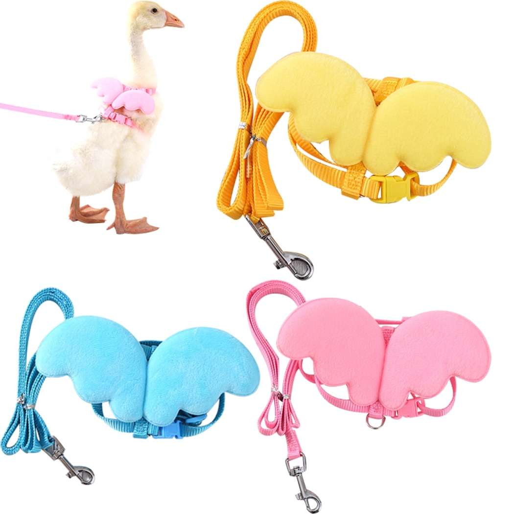 nastawny połączenie kaczka uprząż smycz lina dla kaczka mały Zwierząt trening pieszy holowniczy lina zwierzę domowe kieszonkowe dzieci