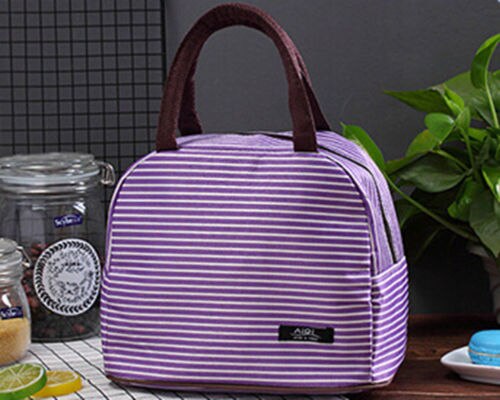 Männer Frauen Kinder tragbar isoliert Thermal- Kühler Mittagessen Kasten Picknick Fall Lager Tasche tragen Tote Oxford wasserdicht Handtasche: Violett