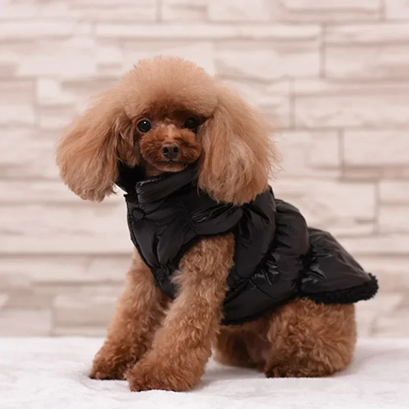 Kurtka Dla Psa – manteau pour chien, vêtement d'hiver pour chiot, tenue pour animaux de compagnie, petit et moyen gabarit