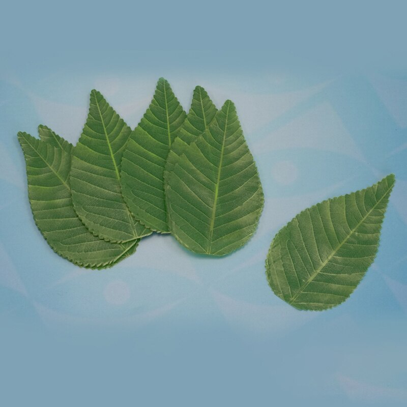 200Pcs Sushi Blad Decoratie Voedsel Plastic Blad Groene Niet-toxisch Geurloos Japanse Sushi Decoratie Bladeren Sashimi