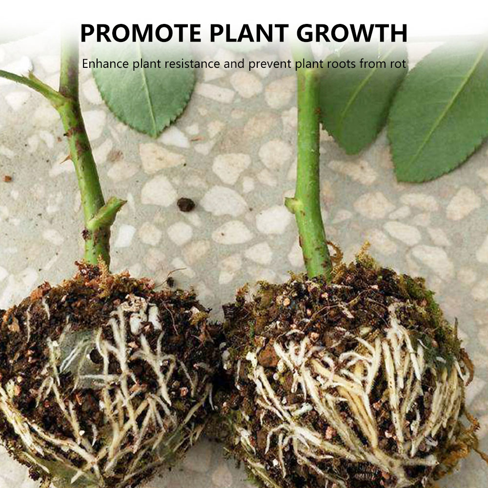 3pcs Plant Rooting Ball Fruit Plant Tree Rooting Ball Root Box Case Propagation Box Grafting Growing High-pressure Breeding Ball