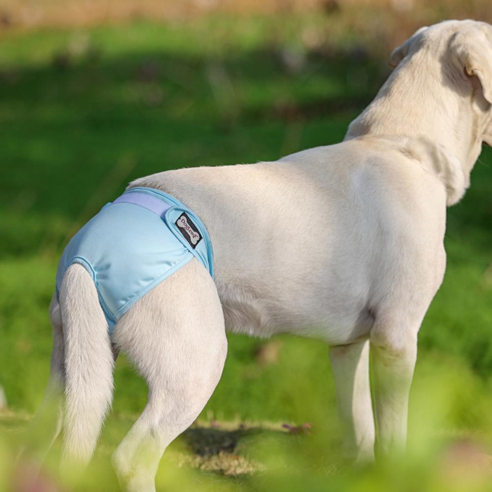 Useful Puppy Pants Soft Touching 5 Sizes Pet Diaper Pants Pet Puppy Physiological Pants for Outdoor Dogs Diapers