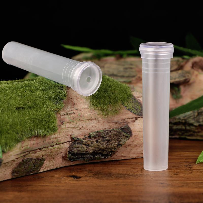 Healifty 50 Uds. Tubo con flor transparente práctico tubo con flor s contenedor de agua para floristería