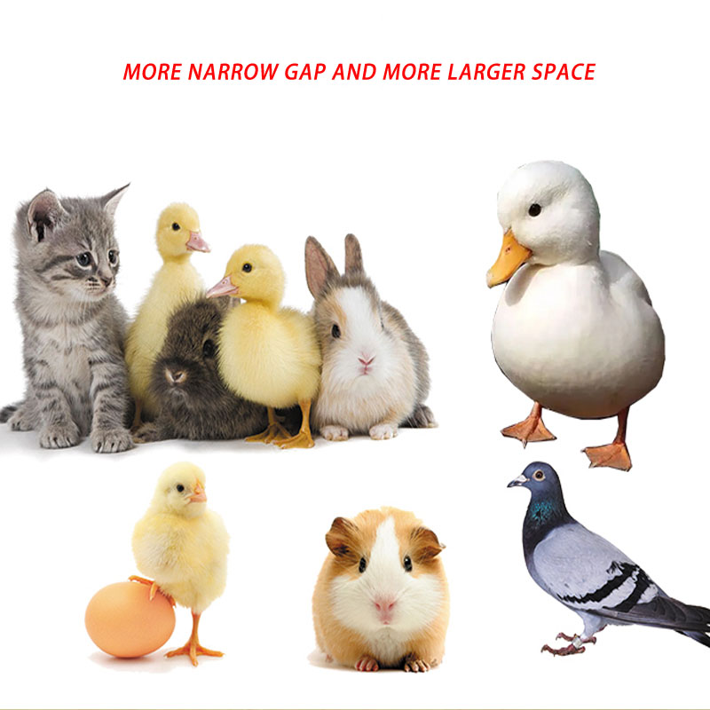 NARROW GAP LARGER SPACE Metal duck cage call chicken house cage small animals rabbit Hamster pigeon bunny cage with double doors