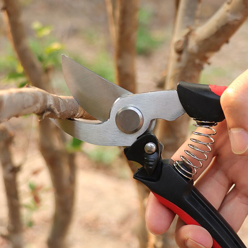 Shrub Garden Branch Shear Clippers Folding Saw Set Trim Horticulture Pruner Blade Cut Secateur Scissor Orchard Pruning Shears