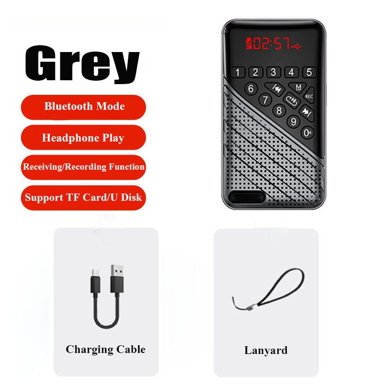 Mini Portable FM Radio Bluetooth 5.0 Music Player Handheld Rechargeable Digital Radios Support Recording TF Card U Disk Play: Grey