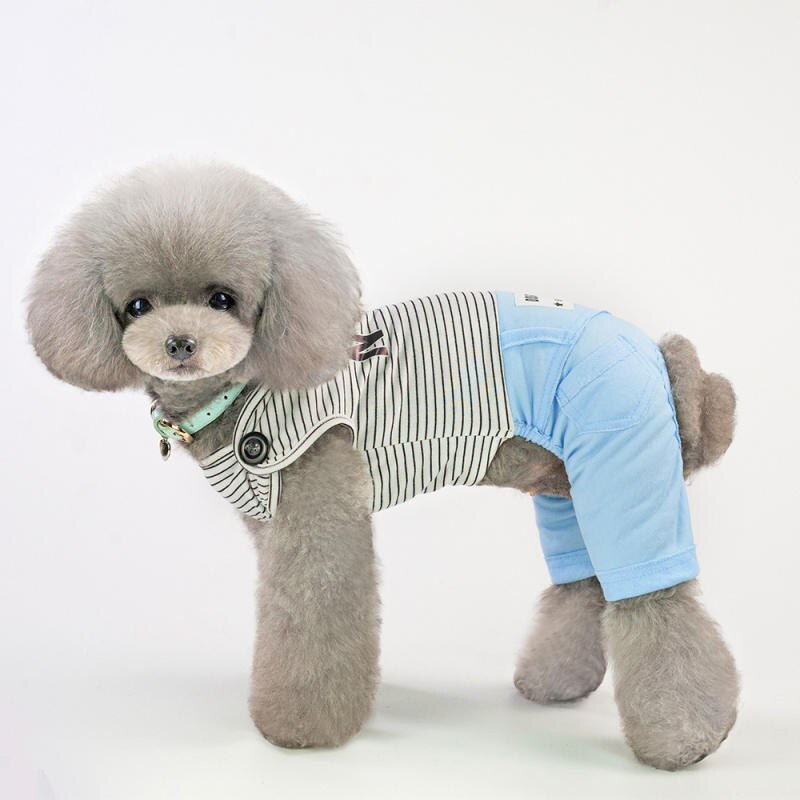 Haustier Kleidung Frühling Und Sommer Neue Haustier Vierbeinigen Kleidung Baumwolle Atmungsaktivem lässig Gestreiften Hosen Hund Kleiden: Blau / XXL