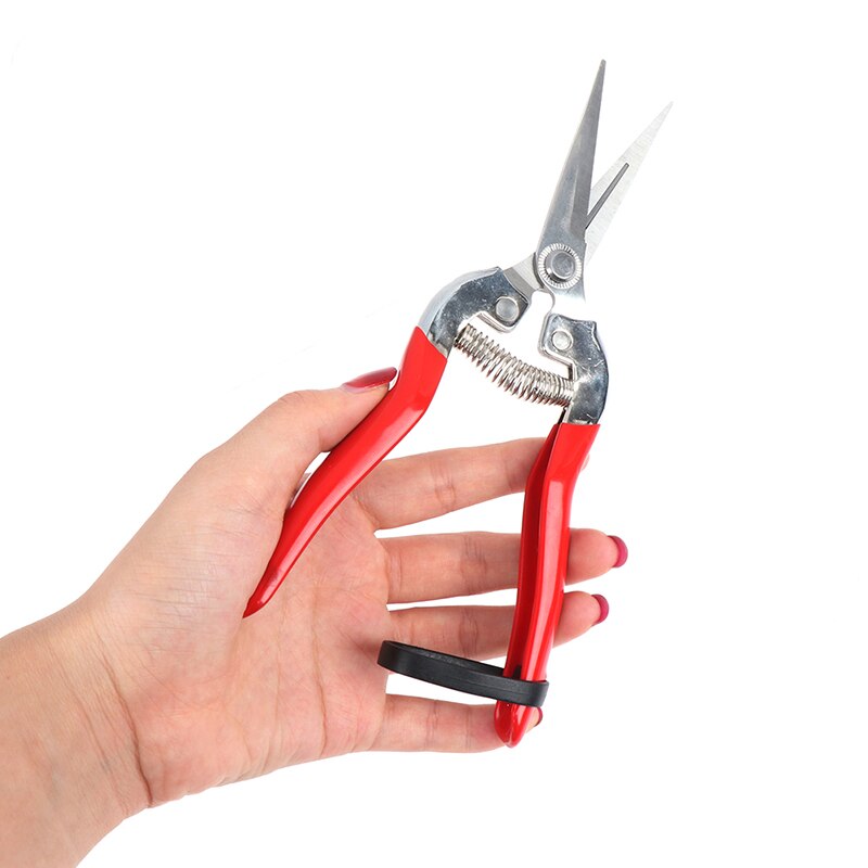 High Carbon Steel blade pruning cut Shrub tool Plant horticulture leaf trimmer Shear Scissor pruner Garden fruit flower Orchard