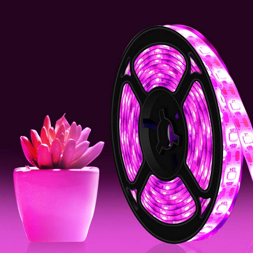Waterdichte Led Verlichting, planten Groeien Licht Strip Led Indoor Lamp String Full Spectrum Waterdichte 5V Usb Powerd Voor Kas