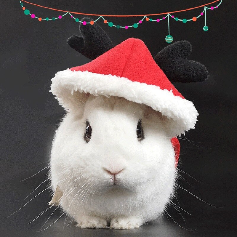 Vêtements chauds d&#39;hiver pour petit Animal, lapin, furet, Chinchilla, Costume de noël, tenue pour chien XXS, pour fête de noël