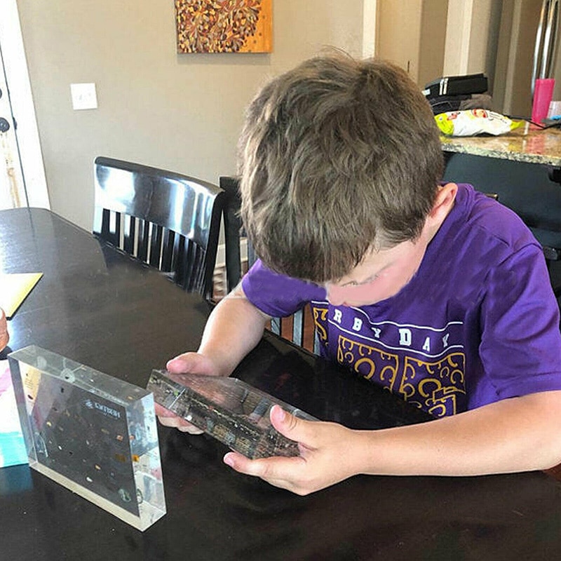 Periodic Table Display Acrylic Teaching Tool for School Teacher Best Birthday for Kids Chemical Element Display Board S/M/L