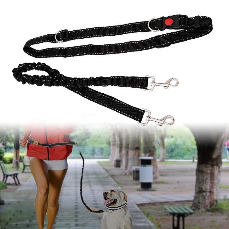 Pet Training Supplies Elastic Dog Leash Adjustable Waist Belt Outdoor Obedience Agility Training Treat Bag