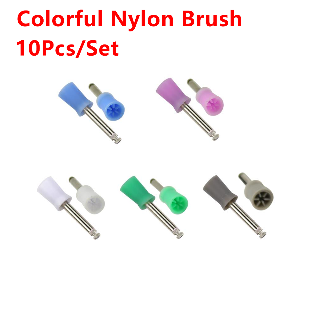 Pulidor Dental desechable, cepillo de cerdas de nailon, herramientas de dentista, taza pulidora, blanqueamiento Dental, cepillos de profilía, 10 unids/lote por caja: CAMEL