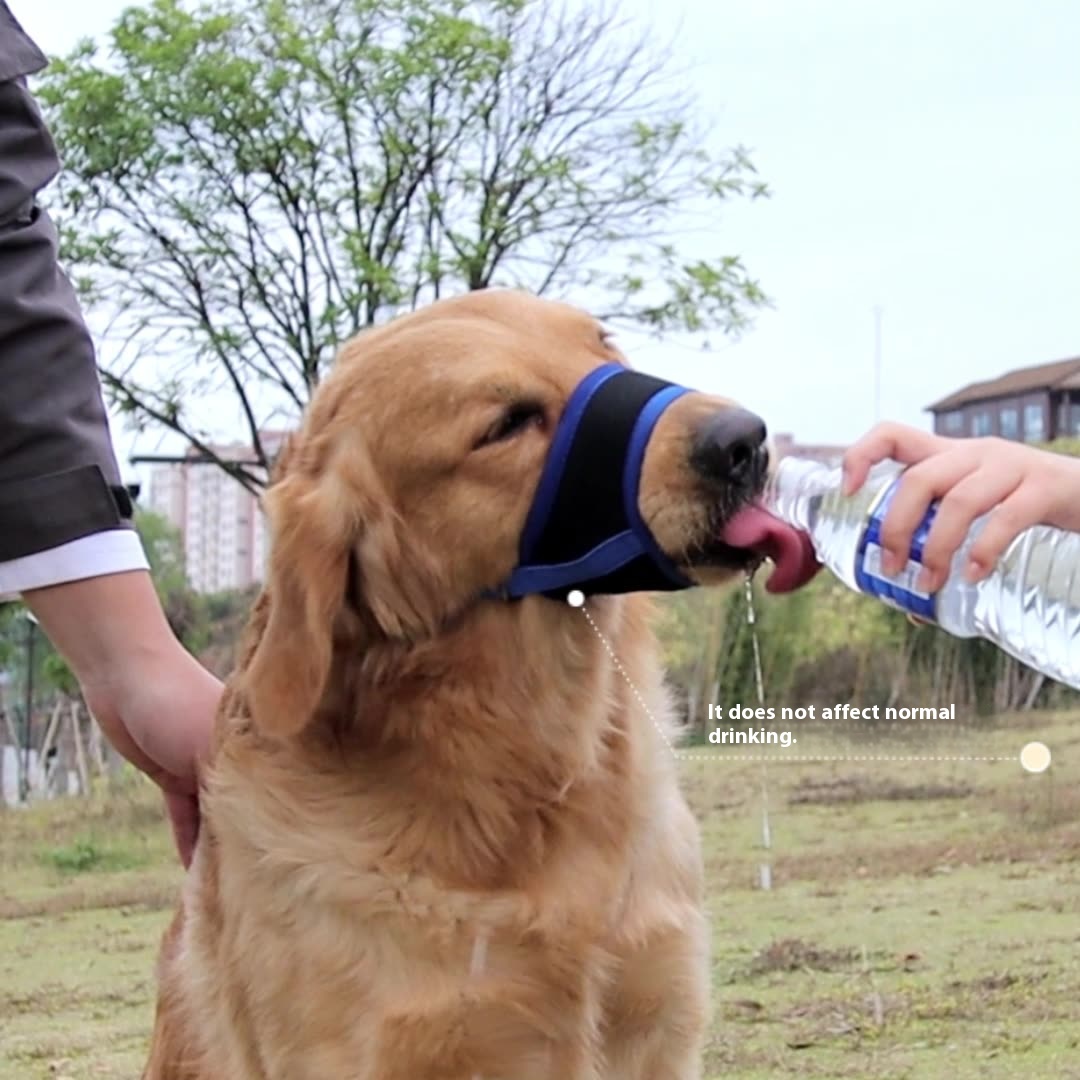 Comfortable Breathable Adjustable Dog Muzzle Anti-Bite Anti-Eating Pet Muzzle for Small Medium Large Dogs Allows Drinking