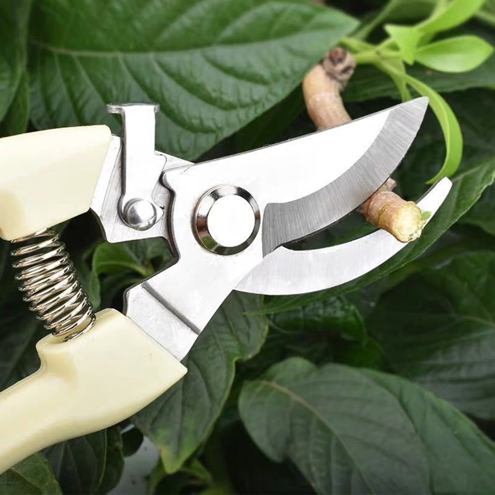 Garden Tools Plant Trim Horticulture Hand Pruner Cut Secateur Shrub Garden Scissor Tool Anvil Branch Shear Orchard Pruning Shear