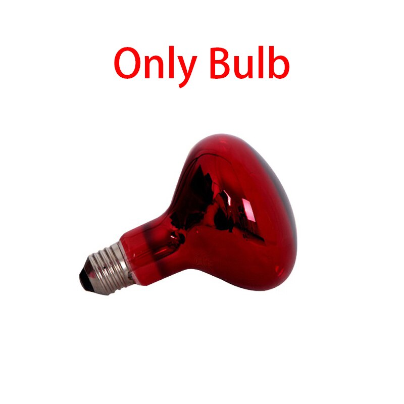 Lámpara de terapia de calefacción por infrarrojos, 220V, 100W, para aliviar el dolor de rodilla, fisioterapia, con bombilla infrarroja, 3 unidades: Only Bulb