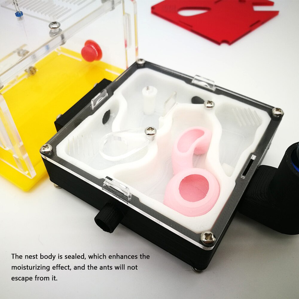 Ant Nest DIY Moisture Feeding Area Acryl Ant Farm Ants House Birthday