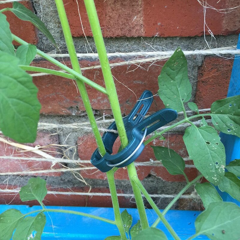 80 stuks tuinplanten vaste clip wijnstokken druiven steun bevestiging groenten bloemen stropdas gesp klem beugel