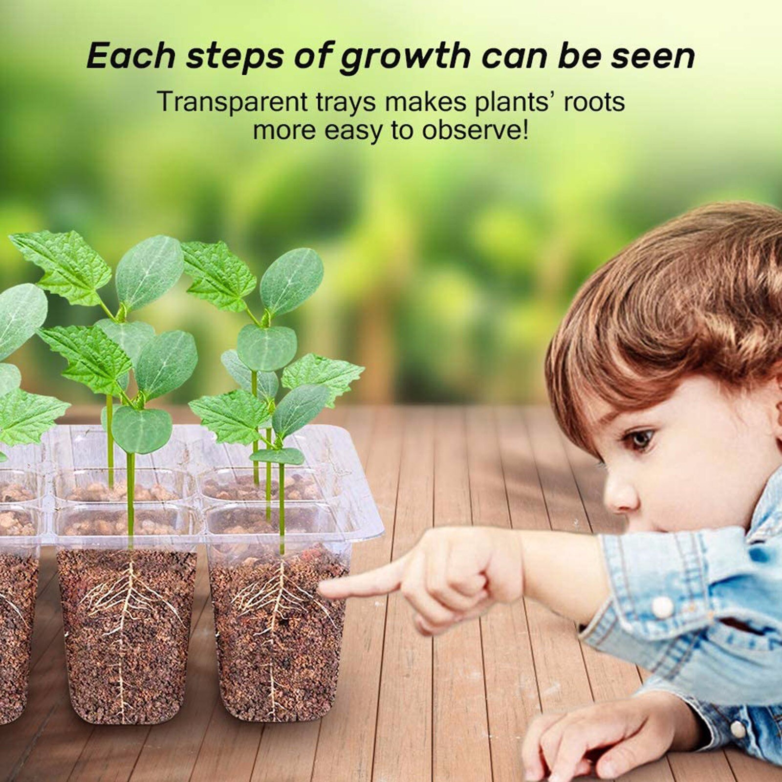 F# Seed Starter Trays Seedling Tray (12 Cells Per Tray) Humidity Adjustable Plant Starter Grow Kit Greenhouse With Dome Base