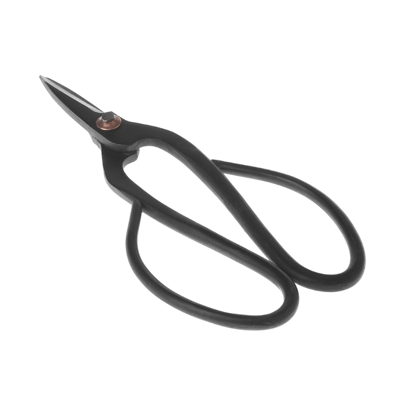 Débutant en acier au carbone ménage bonsaï outils ciseaux jardinage branche ciseaux N1HA