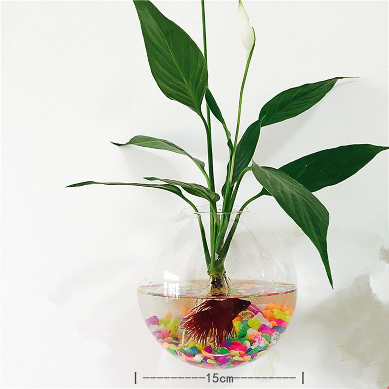 3pcs/pack Diameter=10cm 12cm 15cm Wall Mounted Glass Terrarium Vase with open Home Decorative Hanging Glass Vase Glass Fishbowl