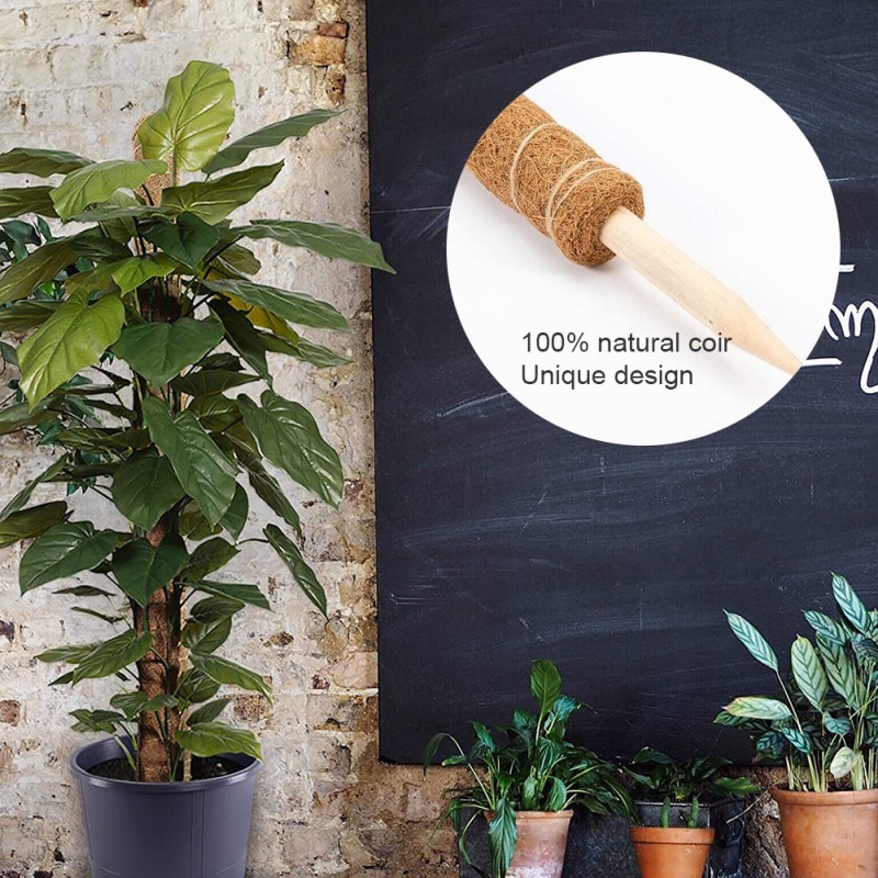 Support végétal Totem pôle Coir poteaux soutenir les plantes d'intérieur pour pousser vers le haut-utiliser des pôles de mousse individuellement ou ensemble