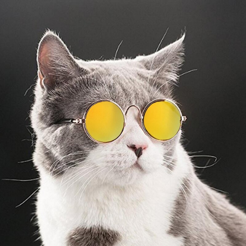 Pet Cat occhiali da sole prodotti per animali domestici Lovely Pet cani di piccola taglia cucciolo occhiali per gatti protezione degli occhi occhiali rotondi foto oggetti di scena accessori