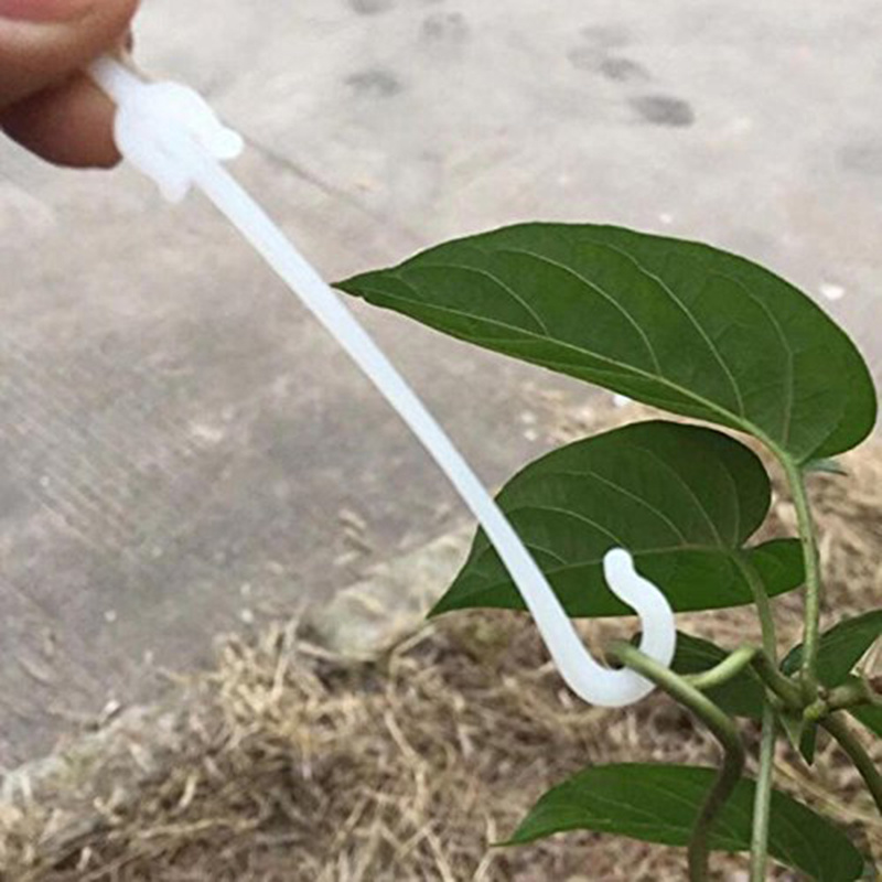 Garden Vegetable Hook Plant Vegetable Grafting Clips Fastener Vines Tied 50pcs Durable Plants Cherry Tomato Support Clip Vine